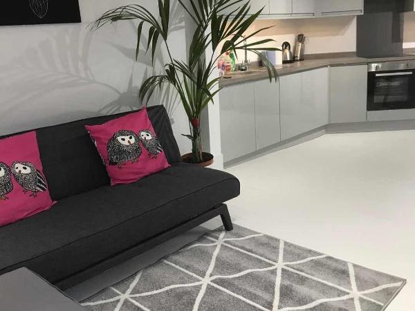 Golden Cross Guesthouse : photo 2 de la chambre studio deluxe