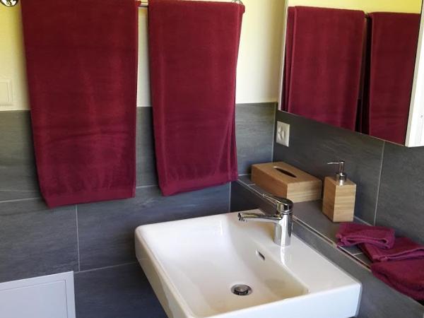 Ferien in der Bergwelt von Adelboden : photo 2 de la chambre chambre double deluxe avec douche