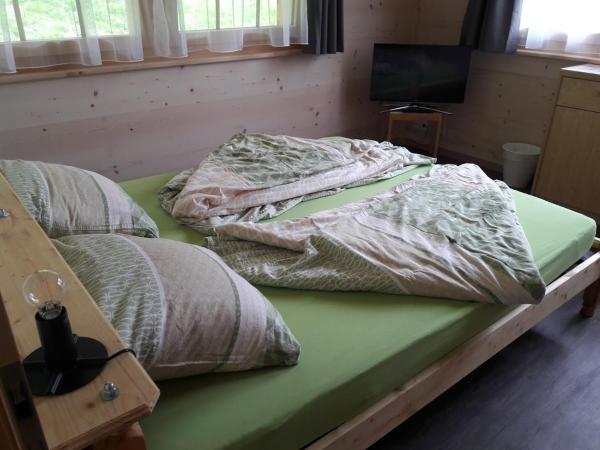 Ferien in der Bergwelt von Adelboden : photo 1 de la chambre chambre double deluxe avec douche