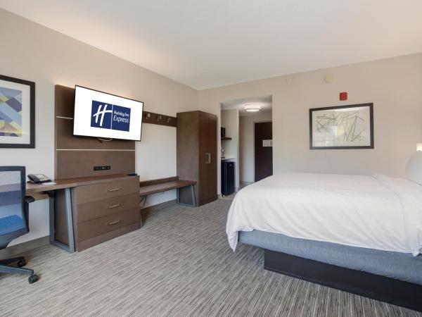 Holiday Inn Express Hotel & Suites Orlando - Apopka, an IHG Hotel : photo 4 de la chambre chambre lit king-size