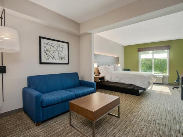 Holiday Inn Express Hotel & Suites Orlando - Apopka, an IHG Hotel : photo 2 de la chambre chambre attribuée à l'arrivée