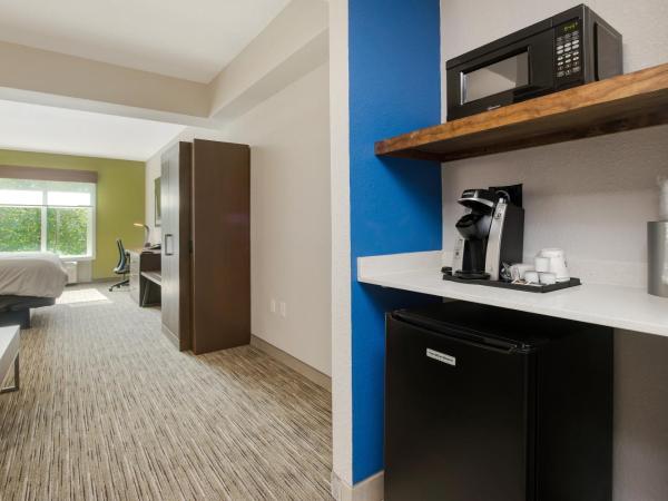 Holiday Inn Express Hotel & Suites Orlando - Apopka, an IHG Hotel : photo 3 de la chambre suite lit king-size