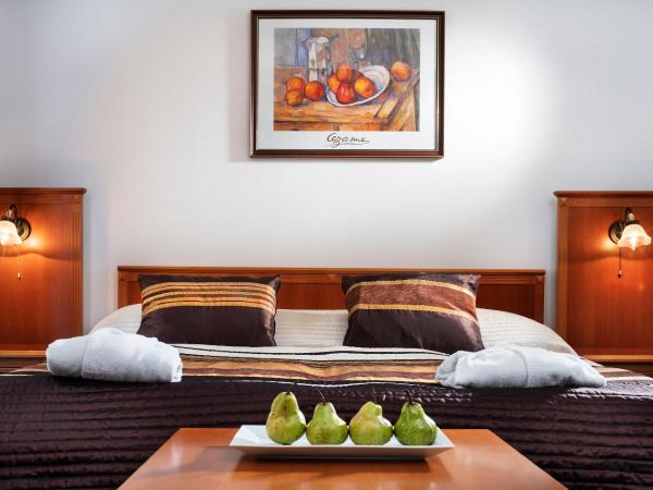 Reitenberger Spa Medical : photo 7 de la chambre chambre double ou lits jumeaux supérieure