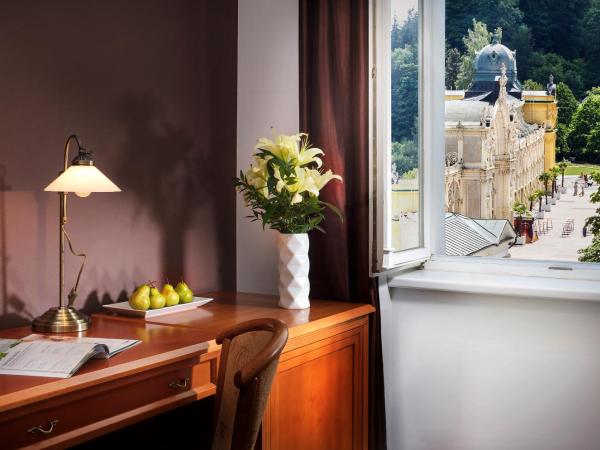 Reitenberger Spa Medical : photo 6 de la chambre chambre double ou lits jumeaux supérieure