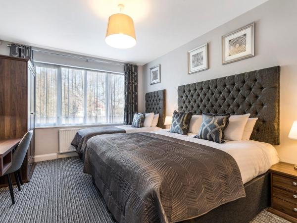 Martel Guest House : photo 3 de la chambre chambre quadruple