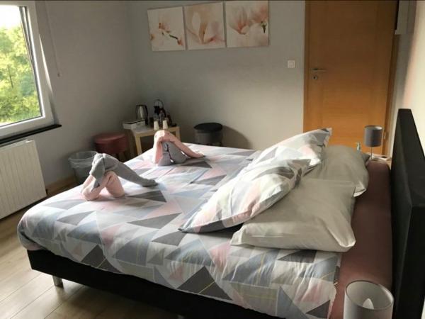 Ferme de la Petite Fagne : photo 2 de la chambre chambre double avec salle de bains privative extérieure