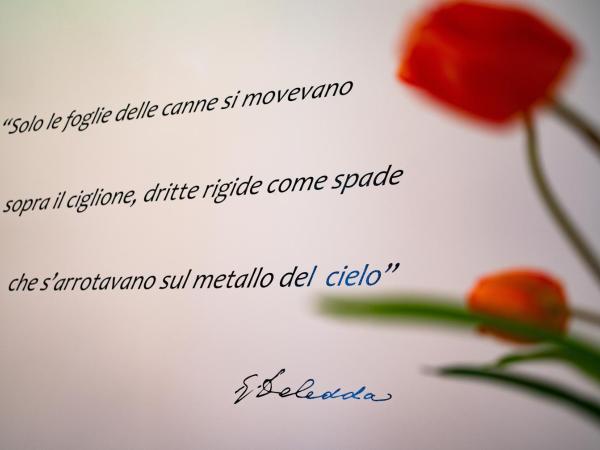 L' Angolo dei poeti - Bed and Breakfast : photo 6 de la chambre chambre double ou lits jumeaux avec salle de bains privative