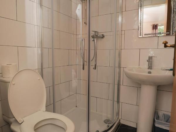 Holland Inn Hotel : photo 1 de la chambre chambre simple