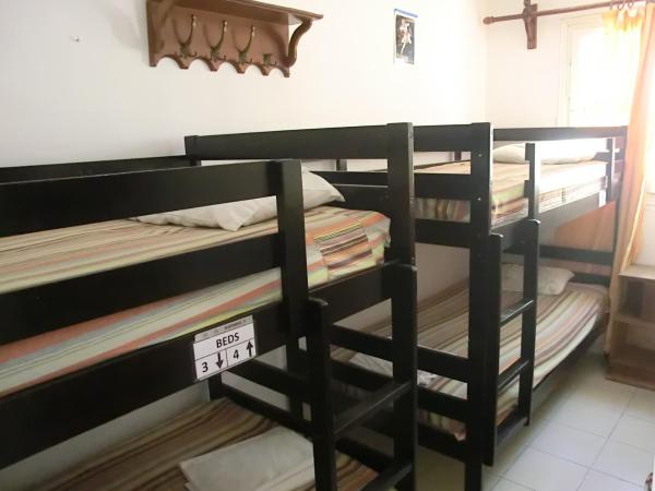 Santorini Camping & Hostel : photo 6 de la chambre lit dans dortoir pour hommes