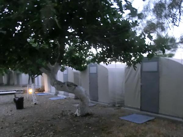 Santorini Camping & Hostel : photo 4 de la chambre tente lits jumeaux