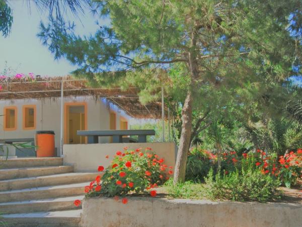 Santorini Camping & Hostel : photo 8 de la chambre tente double