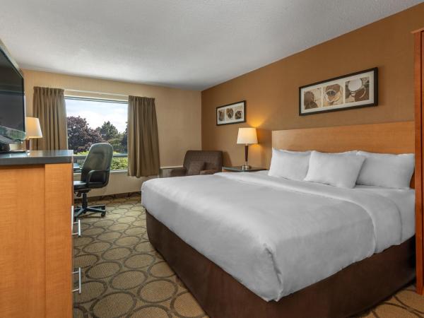 Comfort Inn : photo 6 de la chambre chambre lit queen-size 