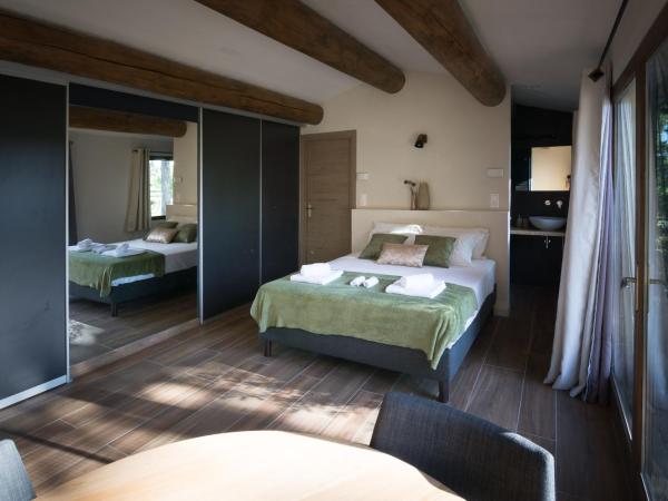 B&B Maison d'hôte et gite Mas d'Eymard : photo 1 de la chambre gîte 1 chambre