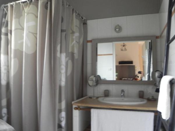 À la Petite Maison : photo 8 de la chambre appartement avec douche