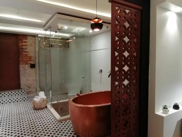 Hotel Boutique Rayón 50 : photo 4 de la chambre suite junior