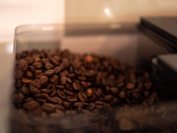 Hotel Front Inn Fukuoka Airport : photo 9 de la chambre chambre simple standard - réservée aux femmes