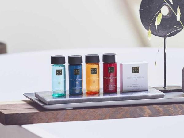 Hôtel Saint Pierre Boutique-Hôtel : photo 10 de la chambre chambre double deluxe