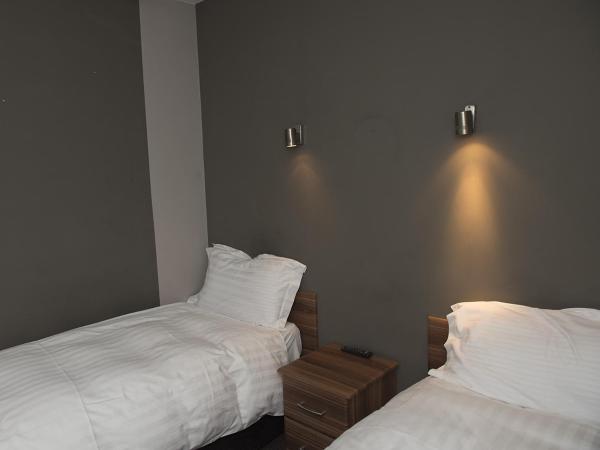 The Queens Head : photo 2 de la chambre chambre lits jumeaux avec douche 