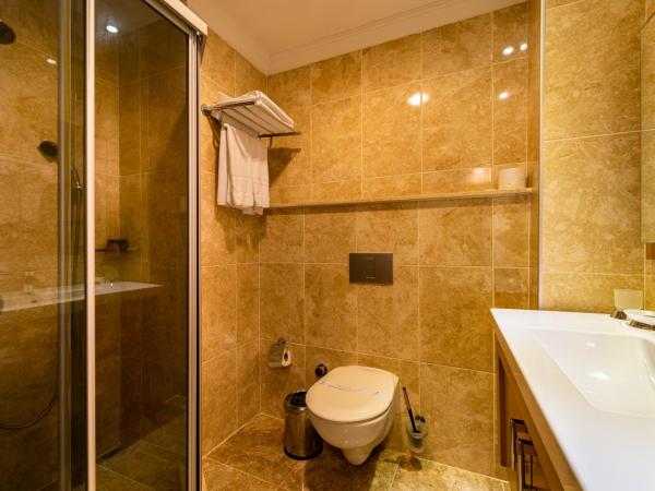 Levent Hotel Istanbul : photo 3 de la chambre chambre simple supérieure