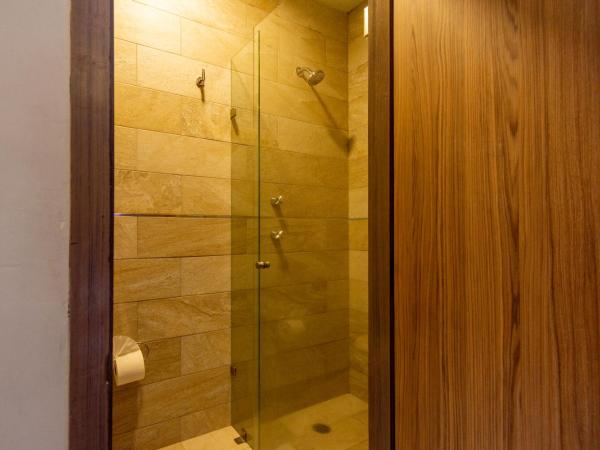 Hotel Hidalgo : photo 5 de la chambre chambre lits jumeaux standard