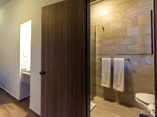 Hotel Hidalgo : photo 6 de la chambre chambre double standard