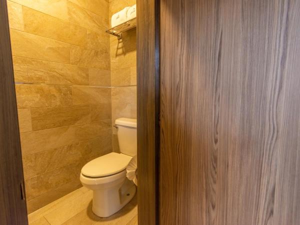 Hotel Hidalgo : photo 4 de la chambre chambre double standard