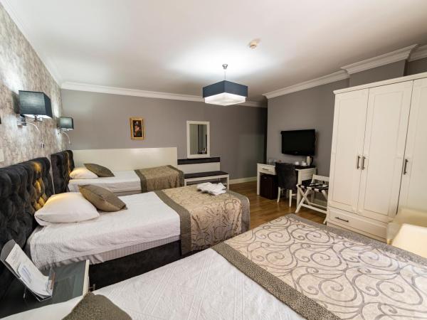 Levent Hotel Istanbul : photo 2 de la chambre chambre triple standard