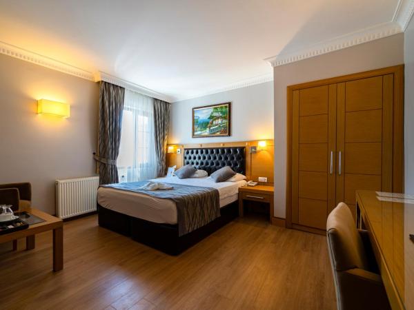 Levent Hotel Istanbul : photo 2 de la chambre chambre double supérieure