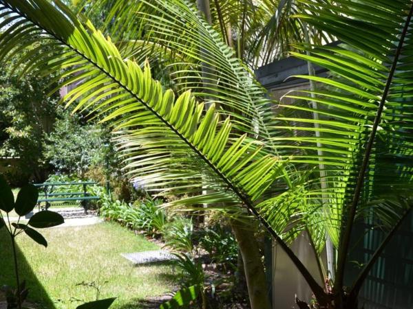 Avonmore On The Park Boutique Hotel : photo 3 de la chambre chambre double - vue sur jardin