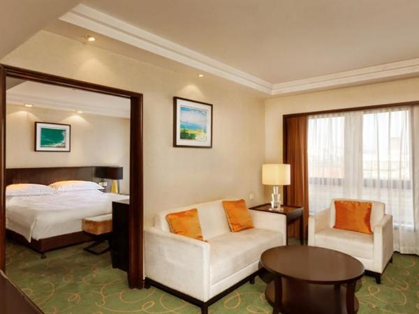 Guo Ji Yi Yuan Hotel : photo 2 de la chambre suite club 