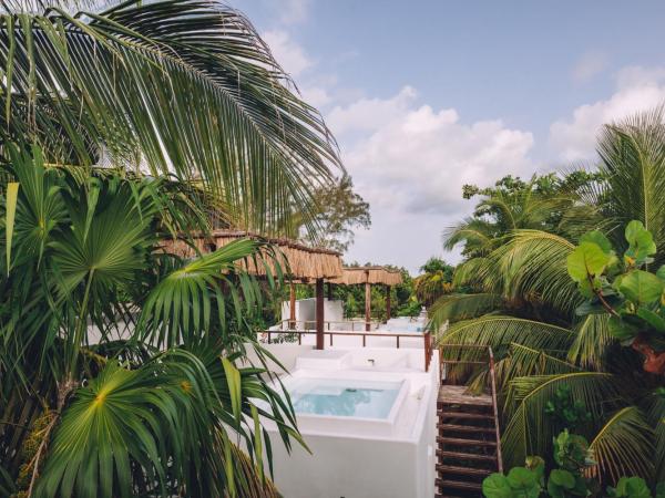 Chiringuito Tulum : photo 1 de la chambre hébergement de luxe avec piscine privée