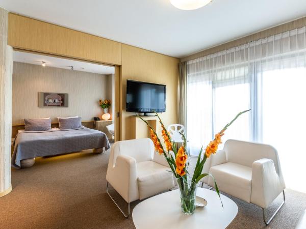 Niebieski Art Hotel & Spa : photo 5 de la chambre appartement