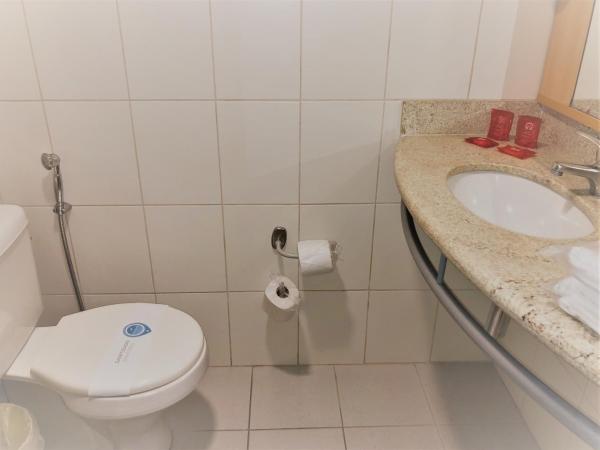 ibis Belo Horizonte Savassi : photo 9 de la chambre chambre double standard