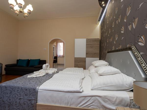 Illés Hotel : photo 2 de la chambre appartement 1 chambre avec cuisine