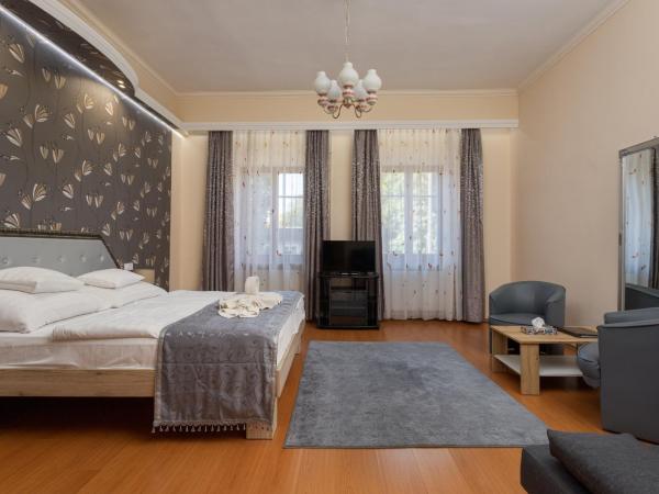 Illés Hotel : photo 1 de la chambre appartement 1 chambre avec cuisine