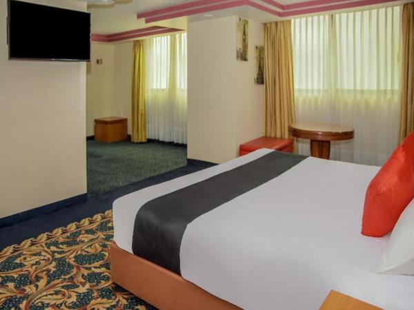 Hotel El Senador : photo 4 de la chambre room #53847110