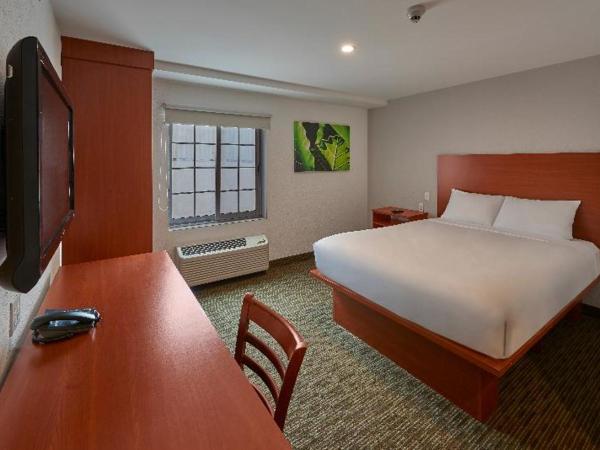 Extended Suites Monterrey Aeropuerto : photo 2 de la chambre room #41786507