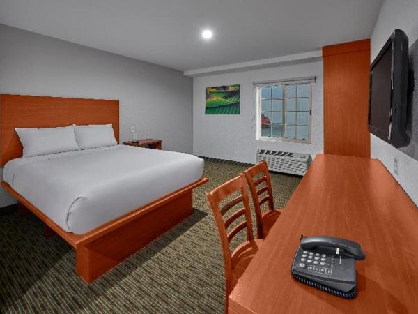 Extended Suites Monterrey Aeropuerto : photo 5 de la chambre room #41786507