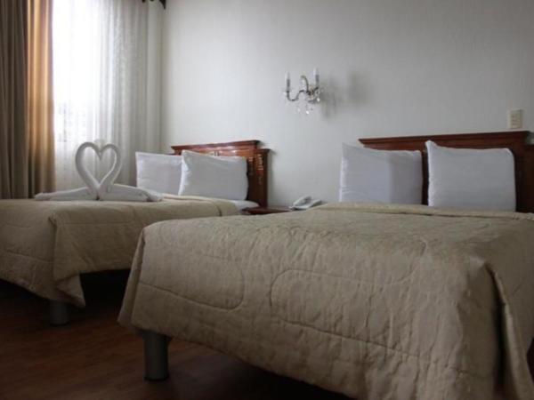 Aristos Puebla : photo 2 de la chambre room #7819111