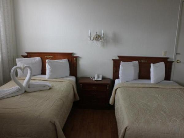 Aristos Puebla : photo 5 de la chambre room #7819111