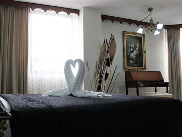 Aristos Puebla : photo 2 de la chambre room #7819112