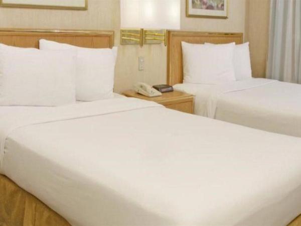 Travohotel Monterrey Histórico : photo 1 de la chambre room #135849410