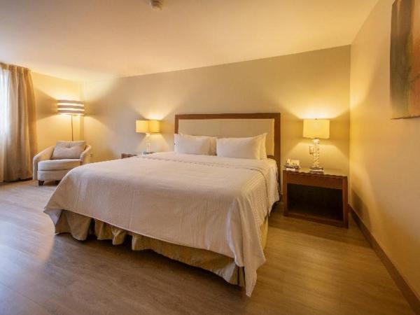 Antaris Valle : photo 3 de la chambre room #27331113