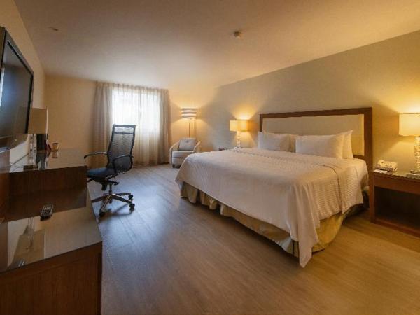 Antaris Valle : photo 4 de la chambre room #27331113