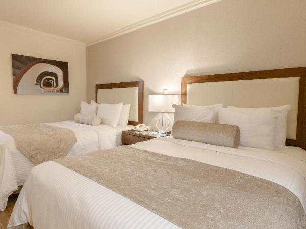 Antaris Cintermex : photo 3 de la chambre room #27356812