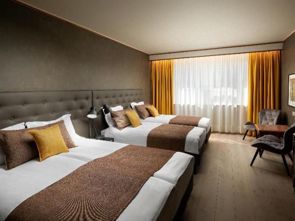 Hotel Ísland - Spa & Wellness Hotel : photo 2 de la chambre room #9817045