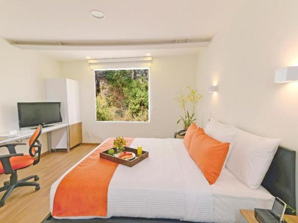 Gamma Ciudad de Mexico Santa Fe : photo 4 de la chambre chambre lits jumeaux supérieure 2