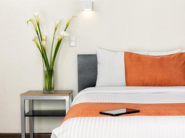 Gamma Ciudad de Mexico Santa Fe : photo 5 de la chambre chambre lits jumeaux supérieure 2