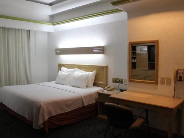 Hotel Monterrey Macroplaza : photo 1 de la chambre room #41557826