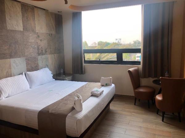 Hotel Jard Inn Adult Only : photo 2 de la chambre room #456289304